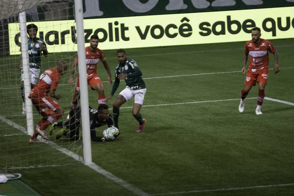 Copa Brasil Futebol Palmeiras Crb Junho 2021 São Paulo Brasil — Fotografia de Stock