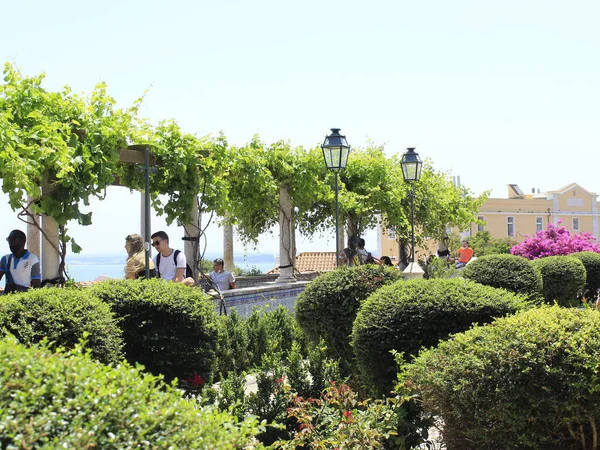 Miradouro Santa Luzia Juni 2021 Lissabon Portugal Zonnige Dag Aangenaam — Stockfoto