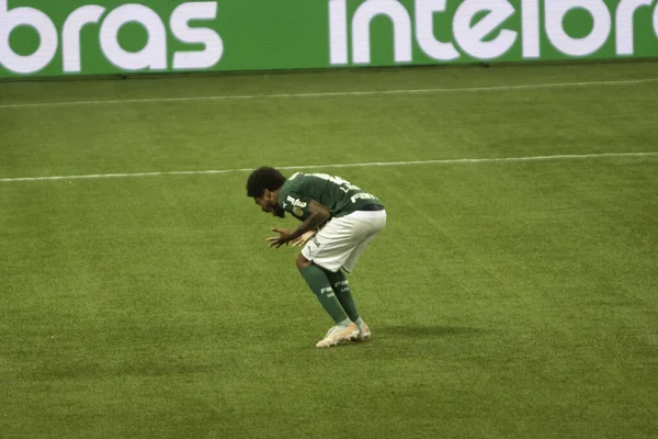 Copa Brasil Futebol Palmeiras Crb Junho 2021 São Paulo Brasil — Fotografia de Stock