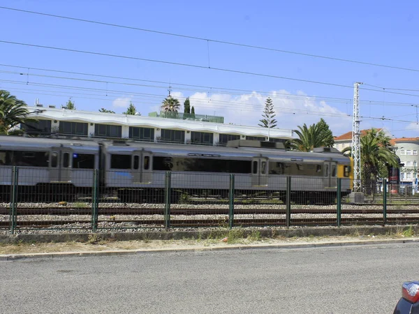 Fürdők Élvezik Kellemes Időjárás Alges Beach Oeiras 2021 Június Oeiras — Stock Fotó