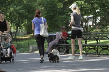 Central Park 'ta sabahın erken saatleri. 18 Haziran 2021, New York, ABD: Central Park esasen köpek gezdirmek, spor yapmak, portre çizmek, sokak satıcıları, sokak sanatçıları, at arabası sürmek, piknik yapmak için iyi bir yer olmuştur.