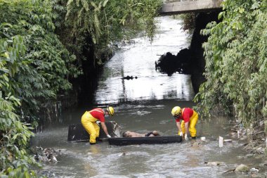 Bir adam Manaus 'ta bir buzdolabının içinde ölü bulundu. 17 Haziran 2021, Manaus, Brezilya uyuşturucu kaçakçılığı savaşıyla ilgili şiddet dalgası Manaus, Amazonas 'ta kurbanlarını almaya devam ediyor. Yüzünde birkaç bıçak yarası olan bir adam ölü bulundu.