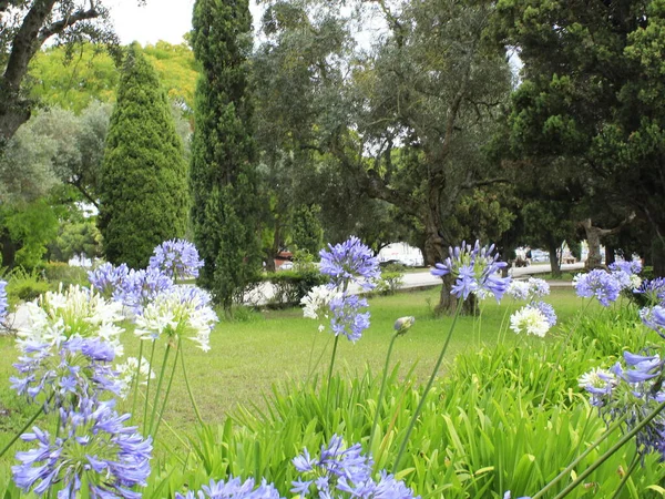 Κίνηση Στην Πλατεία Garden Imperio Στη Λισαβόνα Ιουνίου 2021 Λισαβόνα — Φωτογραφία Αρχείου