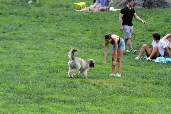 Apák Napját Central Parkban Ünnepelték 2021 Június New York Usa — Stock Fotó