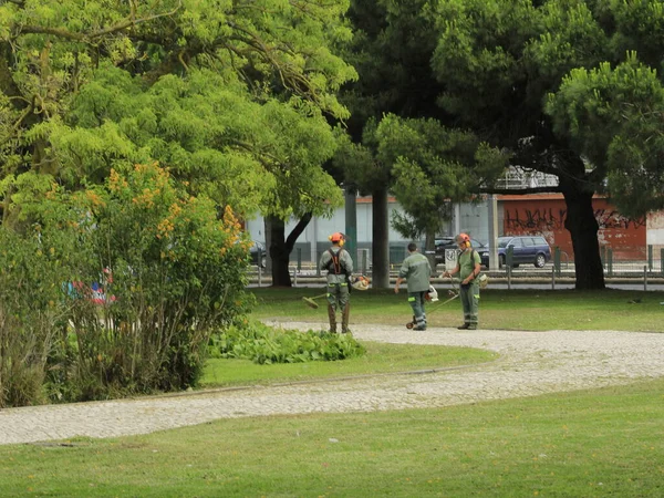리스본의 페리오 광장에서 의움직임 2021 포르투갈 리스본에서 리스본의 지역중 하나에 — 스톡 사진