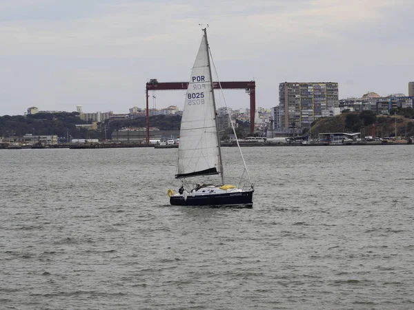 Transport Von Touristen Auf Der Transtejo Fluvial Line Die Teil — Stockfoto