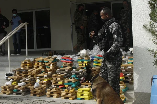 Police Seize Large Amount Drugs Complexo Alemao Rio Janeiro June — Stock Photo, Image