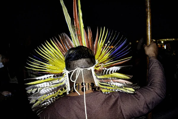 Pueblos Indígenas Diferentes Etnias Protestan Brasilia Junio 2021 Brasilia Distrito — Foto de Stock