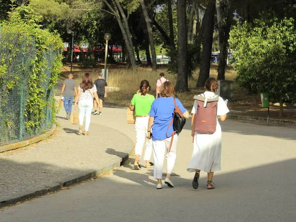 Vaccination Contre Covid Montée Stade Universitaire Lisbonne Juillet 2021 Lisbonne — Photo