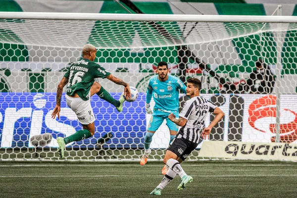 Campionato Brasiliano Calcio Palmeiras Santos Luglio 2021 San Paolo Brasile — Foto Stock