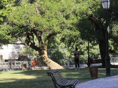 (Lizbon 'daki Alegria Meydanı' nda hareketlilik. 12 Temmuz 2021, Lizbon, Portekiz: Lizbon 'daki Alegria Meydanı' nda hareket, burada egzotik bitki örnekleri ve çeşmeli bir göl bulunuyor. Liberdade Bulvarı 'na yakın.. 