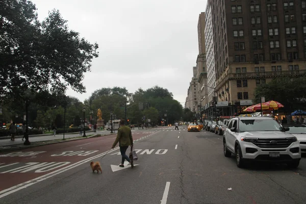 뉴욕에서는 시까지 뇌우가 진행되었습니다 2021 브롱크스 리치몬드군에서 뇌우가 우산을 사람들을 — 스톡 사진