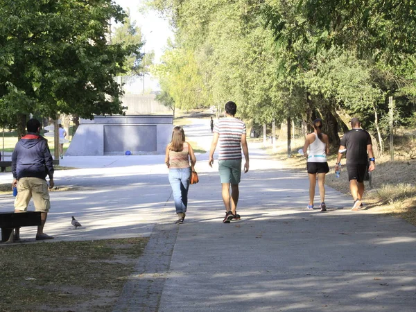 Července 2021 Lisabon Portugalsko Hnutí Quinta Das Conchas Lilazes Park — Stock fotografie