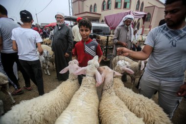  Filistinliler hayvan pazarında koyun satın almak için toplanıyorlar. 17 Temmuz 2021, Filistin Toprakları, Gazze Şeridi: Filistinliler, Gazze Şeridi 'nin güneyindeki Rafah' ta Kurban Bayramı 'ndan önce koyun almak için hayvan pazarında toplandılar.. 
