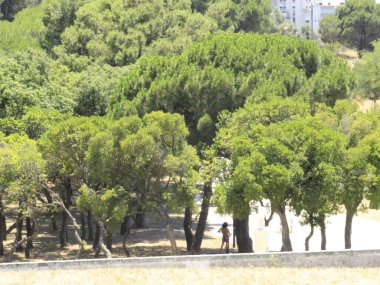 Rio Lisboa 'daki Rock' ın 9 'uncu sayısının yapılacağı Bela Vista Parkı manzarası. 17 Temmuz 2021, Lizbon, Portekiz: Rio Lisboa 'da Rock' un 9. 'su, Haziran 2022' de gerçekleştirilecek Bela Vista Parkı manzarası. 