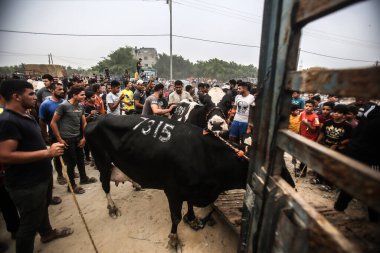  Filistinliler hayvan pazarında koyun satın almak için toplanıyorlar. 17 Temmuz 2021, Filistin Toprakları, Gazze Şeridi: Filistinliler, Gazze Şeridi 'nin güneyindeki Rafah' ta Kurban Bayramı 'ndan önce koyun almak için hayvan pazarında toplandılar.. 