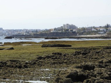  Cascais 'deki Parede plajı. 20 Temmuz 2021, Cascais, Portekiz: 20 Temmuz Salı günü Liboa 'nın başkenti Cascais' te, Parede plajında havuz temizleme hareketi. Burası tedavi edici özellikleriyle bilinir.