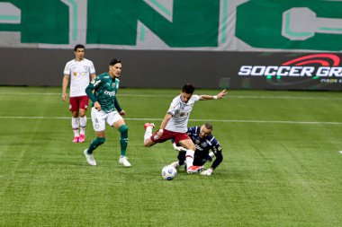 (Brezilya Futbol Şampiyonası: Palmeiras ve Fluminense. 24 Temmuz 2021, Sao Paulo, Brezilya: Brezilya 'nın Sao Paulo şehrindeki Allianz Parque Stadyumu' nda oynanan Brezilya Futbol Şampiyonası 'nın 13. turu için geçerli olan Palmeiras ve Fluminense arasında oynanan futbol maçı.