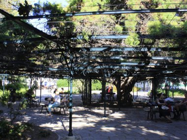 Jardim do Principe Real, Lizbon 'daki yayalar. 23 Temmuz 2021, Lizbon, Portekiz: Coronavirüs salgınının ortasında, 23 Temmuz Cuma günü Lizbon 'da Jardim do Principe Real' deki yaya hareketi. 