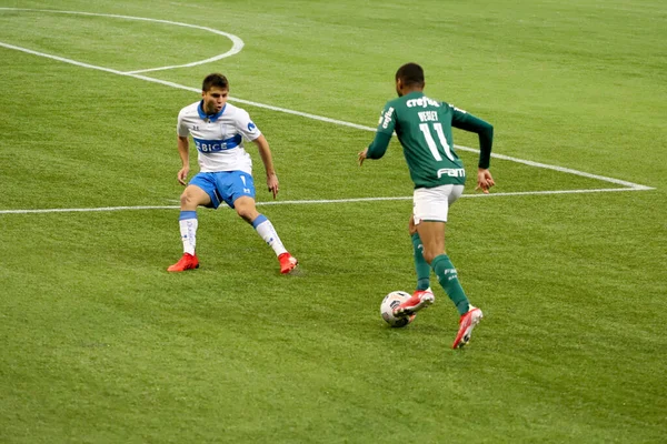 Spo Copa Libertadores Palmeiras Universidad Catolica Temmuz 2021 Sao Paulo — Stok fotoğraf