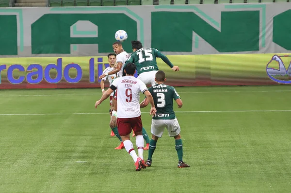 Spo Brasilianische Fußballmeisterschaft Palmeiras Und Fluminense Juli 2021 Sao Paulo — Stockfoto