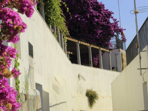 Вид на Санта-Лузию в Лиссабоне. Фелли 26,2021 Лисбон, Португалия: Смотровая площадка Санта-Лука, откуда открывается панорамный вид на Лисбон, имеет большое движение людей вокруг смотровой площадки