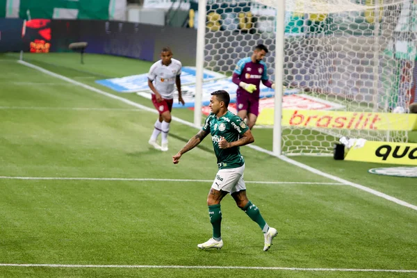 Brezilya Futbol Şampiyonası Palmeiras Fluminense Temmuz 2021 Sao Paulo Brezilya — Stok fotoğraf