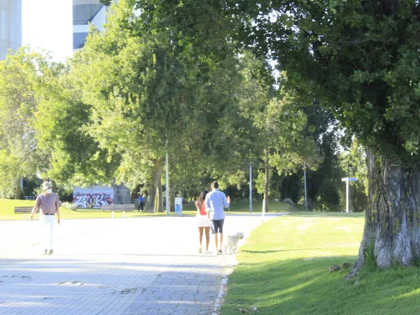 2021年7月30日 葡萄牙里斯本 30日 在里斯本Tejo公园的运动中 这个地方的人很多 因为它有一个非常绿地和运动空间 — 图库照片