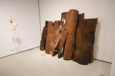 29 Temmuz 2021, Sao Paulo, Brezilya: Portekiz Dili Müzesi, Sao Paulo 'da düzenlediği basın toplantısında