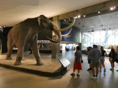 La Brea Katran Çukurları. Eski bir buz çağına açılan bir geçit. 28 Temmuz 2021, Los Angeles, CA, ABD