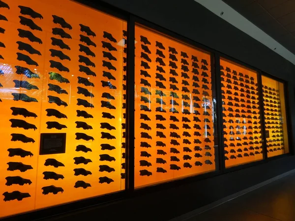 Brea Tar Pits Portal Ancient Ice Age Inglês Julho 2021 — Fotografia de Stock