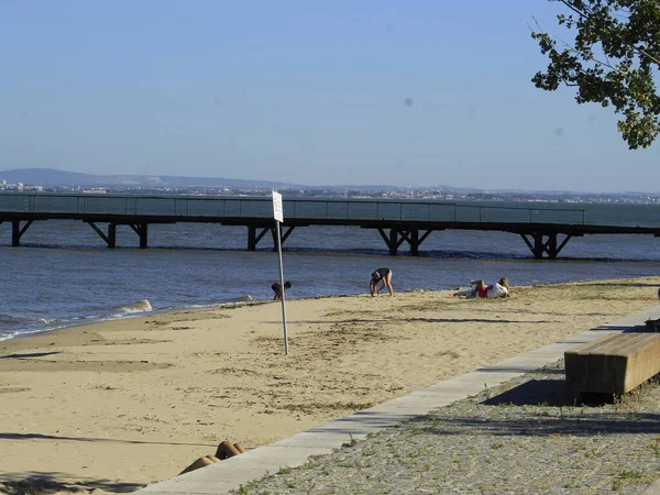 Ribeirinha Park Lissabon Juli 2021 Lissabon Portugal Rörelse Ribeirinha Park — Stockfoto