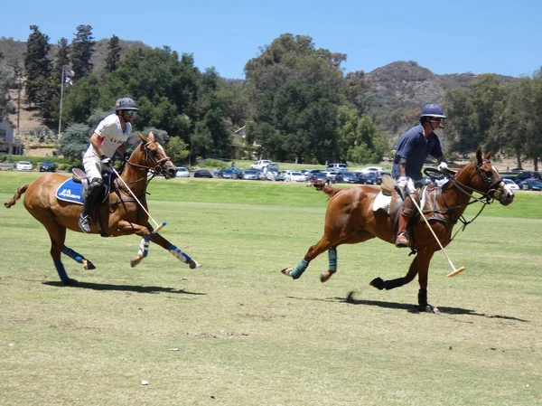 Southern California Affluence Eyes Big Leagues International Polo Inglês Agosto — Fotografia de Stock