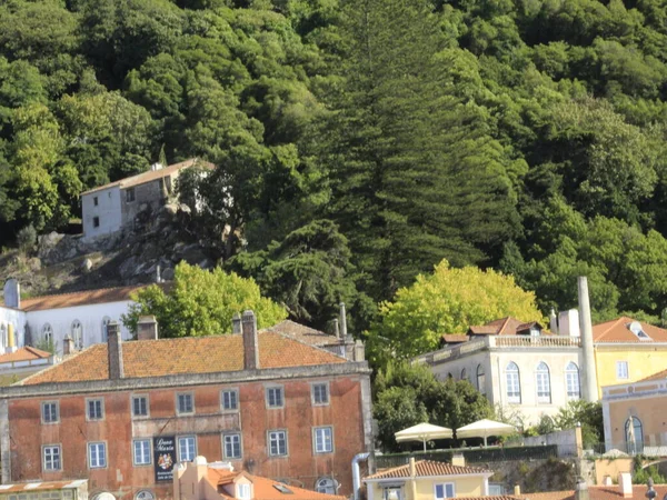 ポルトガルのシントラにある国立宮殿庭園の眺め 2021年8月10日 ポルトガル シントラ 国立宮殿庭園の眺め10日 無料観覧 — ストック写真