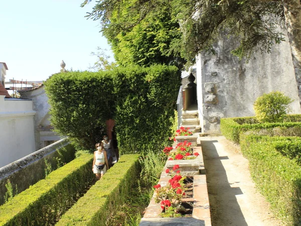 Vista Los Jardines Del Palacio Nacional Sintra Portugal Agosto 2021 — Foto de Stock