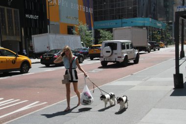 New York, ABD: Hava tahminlerine göre, New York City iki gün süren bunaltıcı sıcaklıkla karşı karşıya, bu da 90 