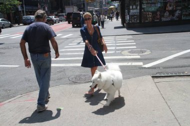New York, ABD: Hava tahminlerine göre, New York City iki gün süren bunaltıcı sıcaklıkla karşı karşıya, bu da 90 