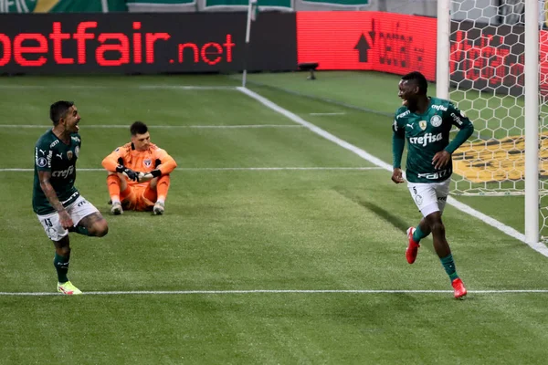 Copa Libertadores Palmeiras Und Sao Paulo August 2021 Sao Paulo — Stockfoto