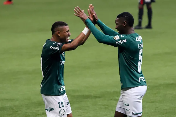 Copa Libertadores Palmeiras Und Sao Paulo August 2021 Sao Paulo — Stockfoto