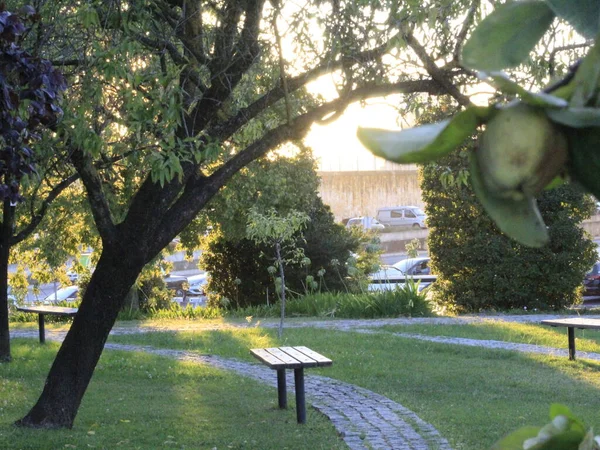 Jardin Amalia Rodrigues Lisbonne Août 2021 Lisbonne Portugal Vue Jardin — Photo