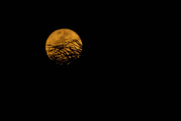 Luna Blu Vista Nel Cielo Rio Janeiro Agosto 2021 Rio — Foto Stock