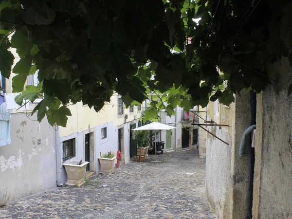 Agosto 2021 Lisbona Portogallo Brasile Movimento Persone Luoghi Turistici Nella — Foto Stock