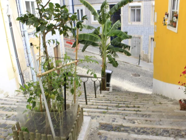 Augustus 2021 Lissabon Portugal Zicht Beco Alegrete Die Prijs Heeft — Stockfoto