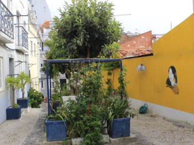 Lizbon 'da Beco do Alegrete manzarası. 24 Ağustos 2021, Lizbon, Portekiz: Lizbon, Portekiz 'in en çiçekli caddesi ödülünü kazanan Beco do Alegrete' den görüş). 