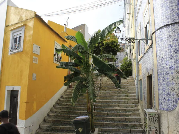 Uitzicht Beco Alegrete Lissabon Augustus 2021 Lissabon Portugal Zicht Beco — Stockfoto