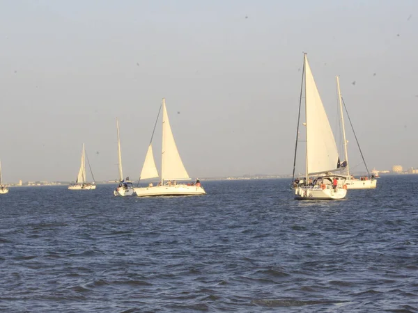 Sommer Europa Boote Auf Dem Tejo Lissabon August 2021 Lissabon — Stockfoto