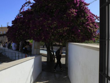  Lizbon 'da Santa Luzia. 29 Ağustos 2021, Lizbon, Portekiz: Portekiz 'in başkenti Lizbon' daki Santa Luzia perspektifinde 29 Ağustos Pazar günü, koronavirüs salgınının ortasında yoğun bir turist hareketi.