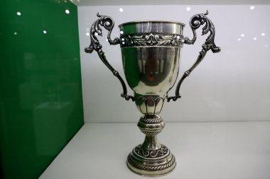 Palmeiras ödül odası Sao Paulo 'daki Allianz Parque Stadyumu' nun birinci katında. 30 Ağustos 2021, Sao Paulo, Brezilya: Palmeiras, kulübün Sao Paulo 'daki Allianz Parque Stadyumu' ndaki yeni Trophy Room 'unu basına açtı.