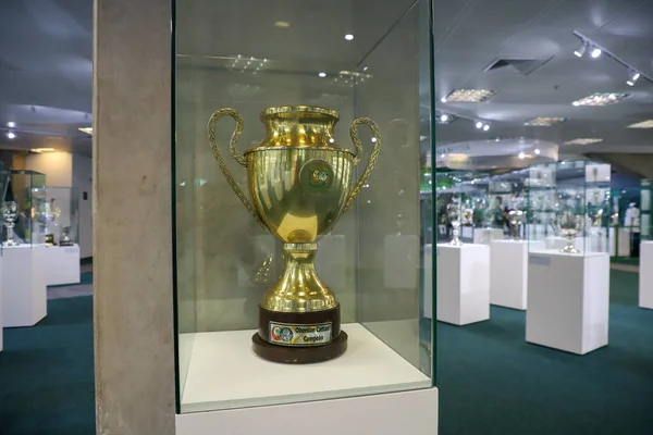 圣保罗Allianz Parque体育场一楼的Palmeiras奖杯室 2021年8月30日 巴西圣保罗 Palmeiras向媒体开放了位于圣保罗Allianz Parque体育场的俱乐部新的奖杯室 — 图库照片