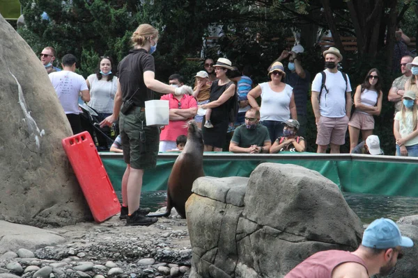 Nuevo Los Neoyorquinos Visitan Central Park Zoo Día Del Trabajo —  Fotos de Stock